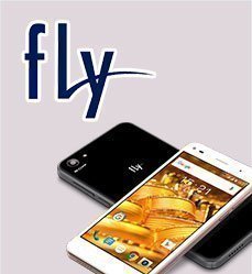 fly